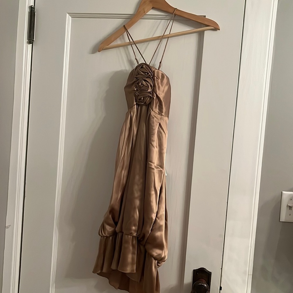 Beautiful Alexia Admor early 2000s/90s style silk dress with cute rosettes